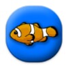 Toddler Fish