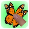 TouchButterfly