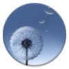 TouchWhiz