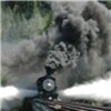 Trains On Bridges Live Wallpaper