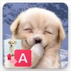 Translate For Dogs