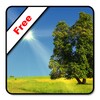 True Weather LWP Free