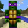Turtle Ninja Run