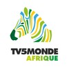 TV5MONDE AFRIQUE