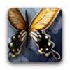 Twirly Wings