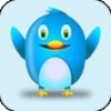 Twitpalas