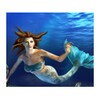 Under Water Fish