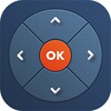 Universal TV Remote