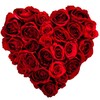 Valentine Live Wallpaper