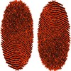 Valentine Scanner