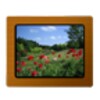 Various Photo Widget