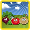Vegetable Book