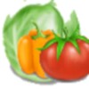 VegetablesNinja