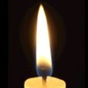Vela