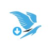 Video Downloader Tweet