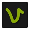 Vidokezo