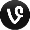Vine