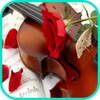 Violin Wallpaper