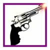 Virtual Gun