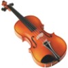 Virtual Violin