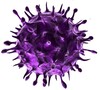 Virus Diagnostic