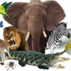 Voices Of Animals