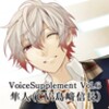 VoiceSupplement