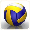 Volleyball Game