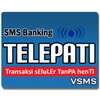 VSMS