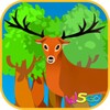 W5GO Forest