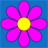 Wall Flowers