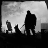 WarZ: Law Of Survival