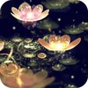 Water Lotus Lantern