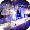 Wedding Decoration