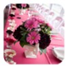 Wedding Decorations Ideas