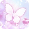 White Butterfly Live Wallpaper
