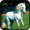White Horse Wallpapers