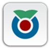 Wiktionary