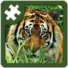 Wild Animals Puzzle