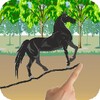 Wild Horse Scribble Race