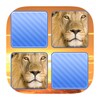 WildLife Memo