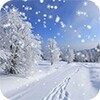 Winter Snow