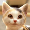 With My CAT