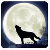 Wolf Howl