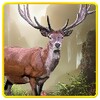 Wolf Hunting Deer Hunters 2014