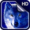 Wolf Live Wallpaper HD
