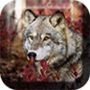 Wolves Live Wallpaper