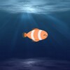World Fish