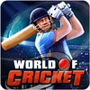 World Of Cricket