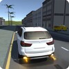 X5 M40 And A5 Simulator